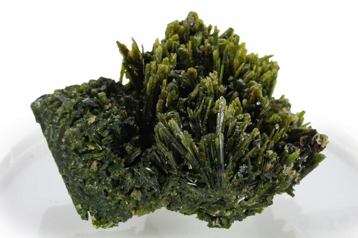 Lustrous Green Epidote Crystal Spray - Peru #347847